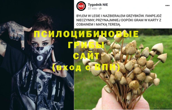 a pvp Нея