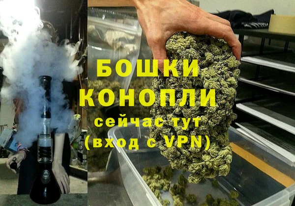 PSILOCYBIN Новокубанск
