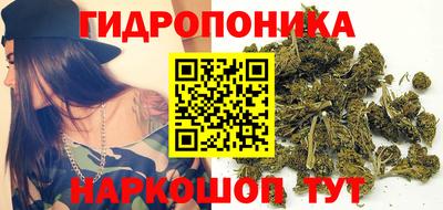apvp Гусиноозёрск