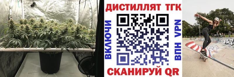 Дистиллят ТГК концентрат ссылка на мегу как войти Краснознаменск закладки